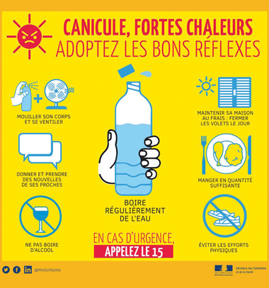 canicule les bons reflexes